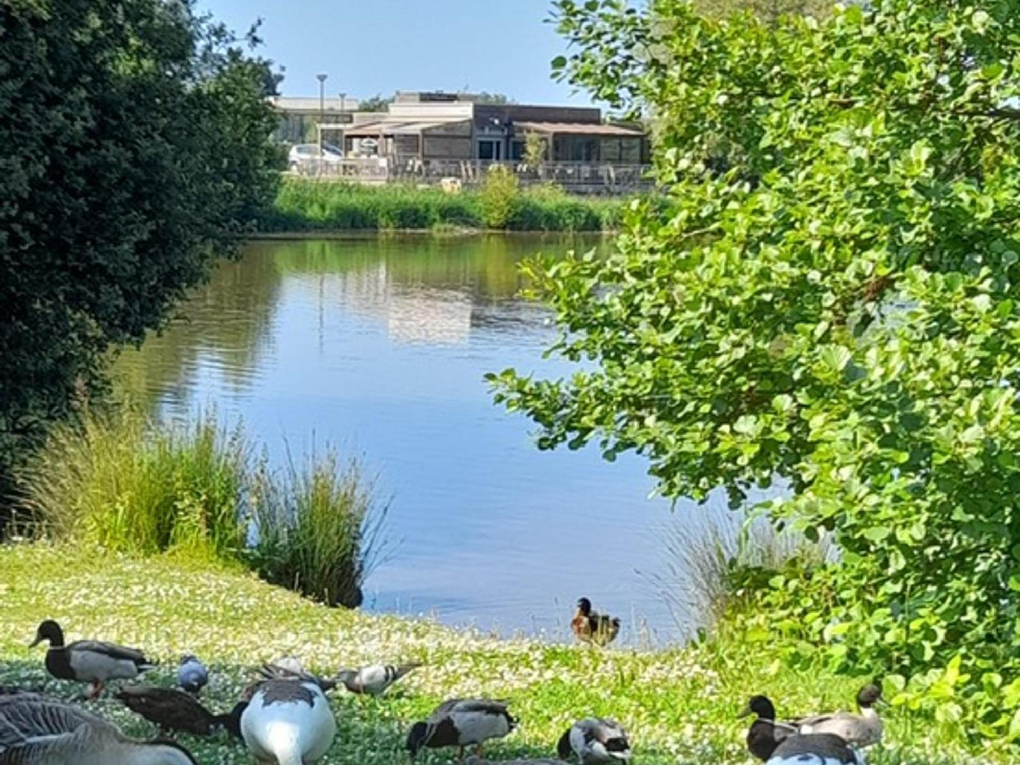 Appartement Refait A Neuf Avec Loggia Et Parking, A 2 Pas De La Plage Et Des Commerces - Fr-1-712-7 Вилле-сюр-Мер Экстерьер фото